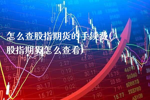 怎么查股指期货的手续费(股指期货怎么查看)