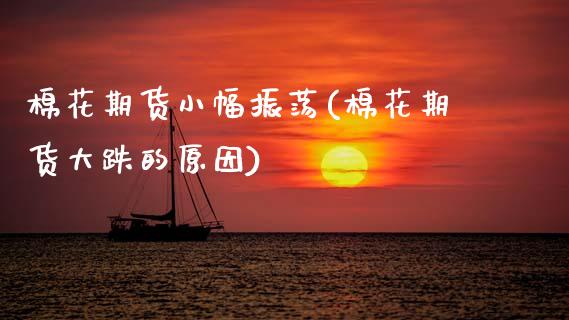 棉花期货小幅振荡(棉花期货大跌的原因)_https://www.boyangwujin.com_恒生指数_第1张