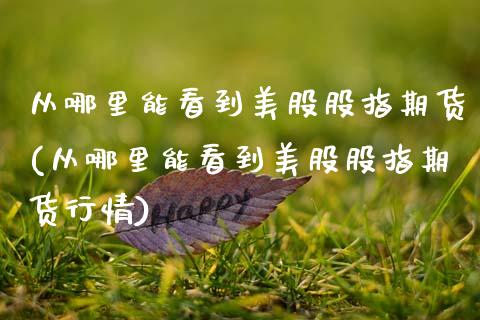 从哪里能看到美股股指期货(从哪里能看到美股股指期货行情)_https://www.boyangwujin.com_期货直播间_第1张