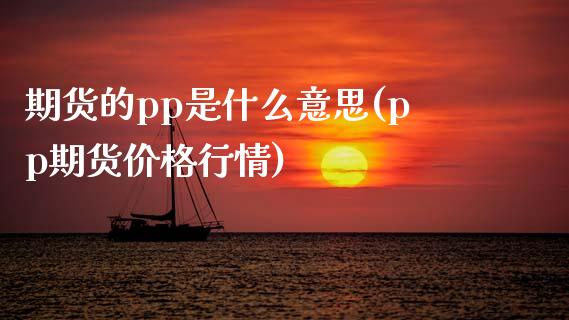 期货的pp是什么意思(pp期货价格行情)_https://www.boyangwujin.com_白银期货_第1张