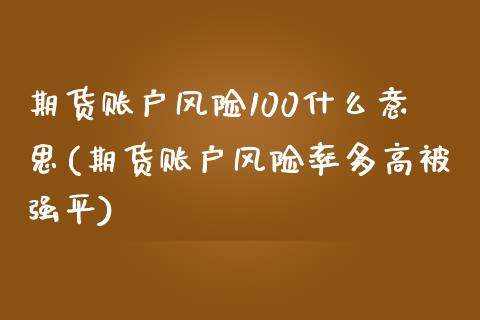 期货账户风险100什么意思(期货账户风险率多高被强平)