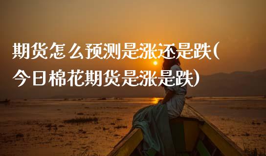 期货怎么预测是涨还是跌(今日棉花期货是涨是跌)_https://www.boyangwujin.com_期货直播间_第1张