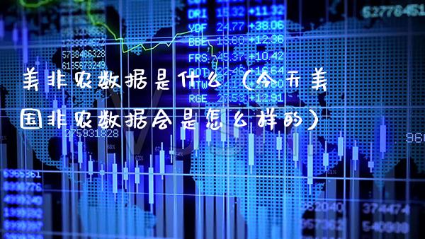 美非农数据是什么（今天美国非农数据会是怎么样的）_https://www.boyangwujin.com_期货直播间_第1张