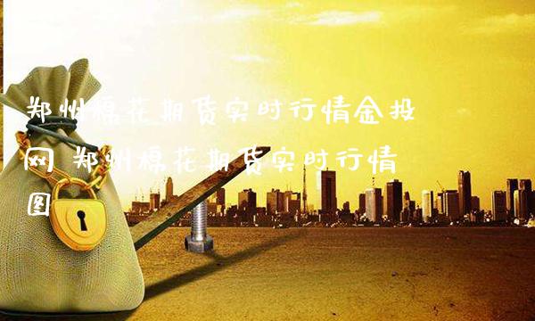 郑州棉花期货实时行情金投网 郑州棉花期货实时行情图