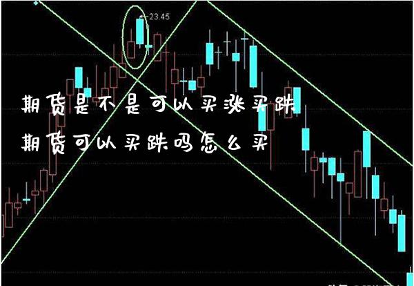 期货是不是可以买涨买跌 期货可以买跌吗怎么买_https://www.boyangwujin.com_黄金期货_第1张