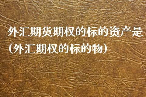 外汇期货期权的标的资产是(外汇期权的标的物)