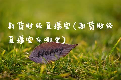 期货财经直播室(期货财经直播室在哪里)