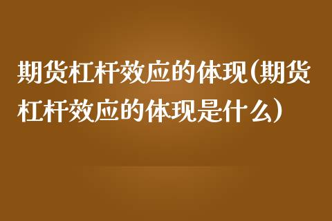 期货杠杆效应的体现(期货杠杆效应的体现是什么)_https://www.boyangwujin.com_纳指期货_第1张