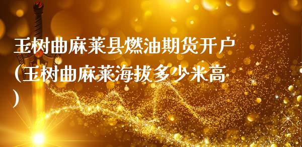 玉树曲麻莱县燃油期货开户(玉树曲麻莱海拔多少米高)