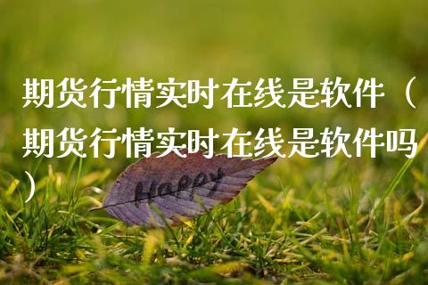 期货行情实时在线是软件（期货行情实时在线是软件吗）_https://www.boyangwujin.com_道指期货_第1张