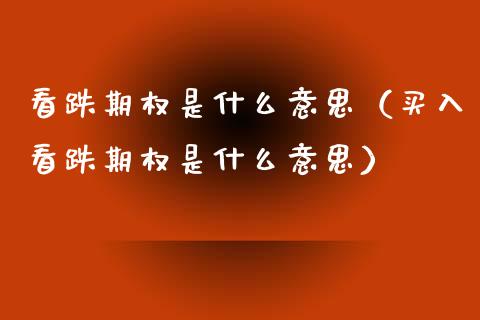 看跌期权是什么意思（买入看跌期权是什么意思）_https://www.boyangwujin.com_纳指期货_第1张