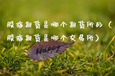 股指期货是哪个期货所的（股指期货是哪个交易所）_https://www.boyangwujin.com_期货直播间_第1张