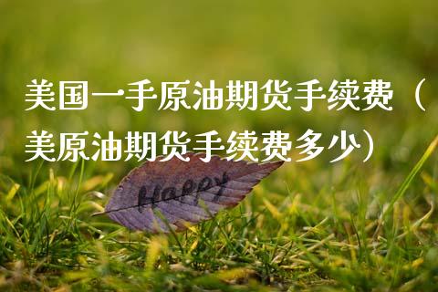 美国一手原油期货手续费（美原油期货手续费多少）_https://www.boyangwujin.com_期货直播间_第1张