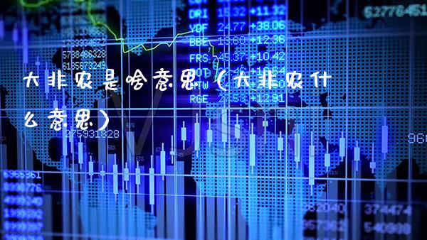 大非农是啥意思（大非农什么意思）