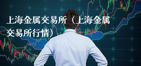 上海金属交易所（上海金属交易所行情）
