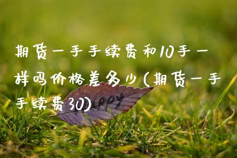 期货一手手续费和10手一样吗价格差多少(期货一手手续费30)_https://www.boyangwujin.com_原油直播间_第1张