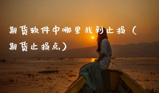 期货软件中哪里找到止损（期货止损点）_https://www.boyangwujin.com_期货直播间_第1张