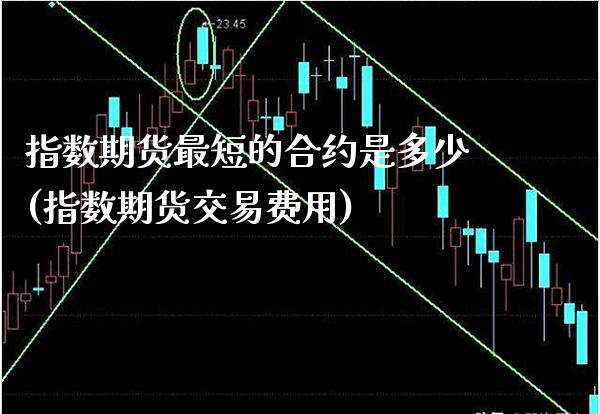 指数期货最短的合约是多少(指数期货交易费用)_https://www.boyangwujin.com_期货开户_第1张