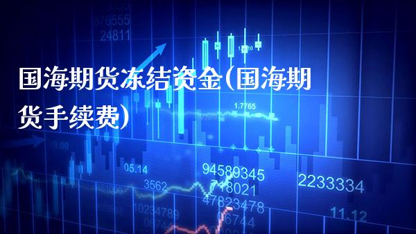 国海期货冻结资金(国海期货手续费)_https://www.boyangwujin.com_期货科普_第1张