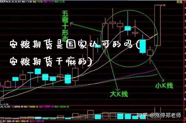 安粮期货是国家认可的吗(安粮期货干嘛的)