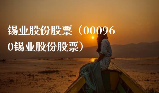 锡业股份股票（000960锡业股份股票）_https://www.boyangwujin.com_期货直播间_第1张