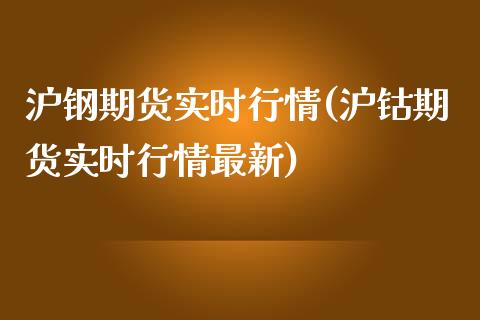 沪钢期货实时行情(沪钴期货实时行情最新)_https://www.boyangwujin.com_恒指期货_第1张