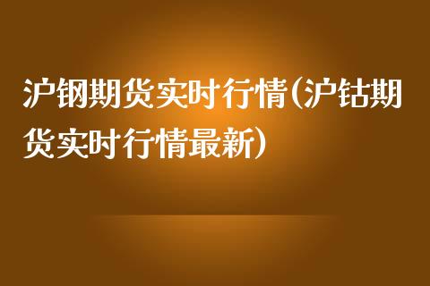 沪钢期货实时行情(沪钴期货实时行情最新)