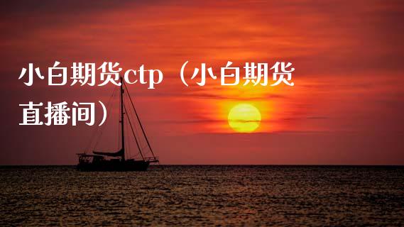 小白期货ctp（小白期货直播间）