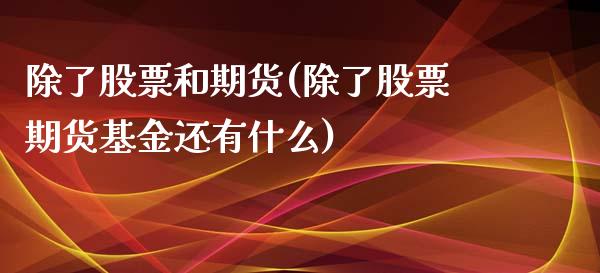 除了股票和期货(除了股票期货基金还有什么)