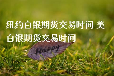 纽约白银期货交易时间 美白银期货交易时间