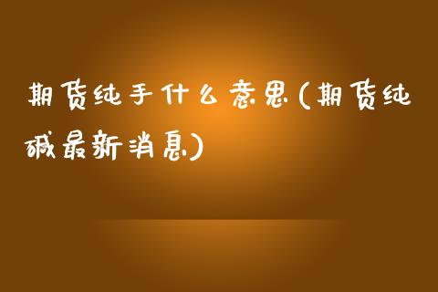 期货纯手什么意思(期货纯碱最新消息)_https://www.boyangwujin.com_期货科普_第1张