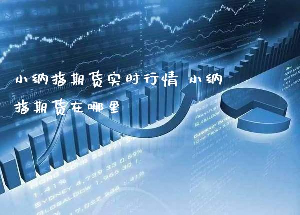 小纳指期货实时行情 小纳指期货在哪里