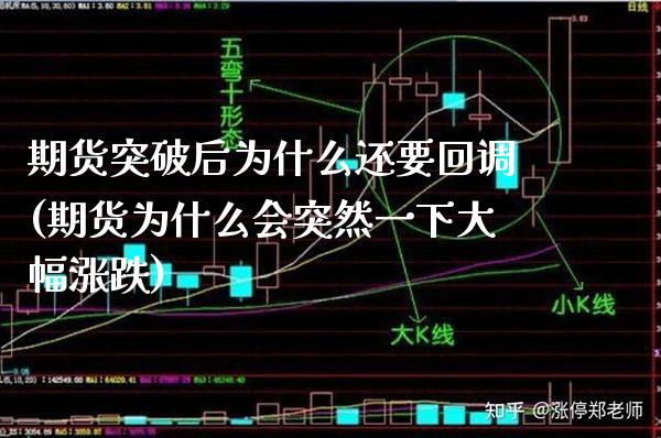 期货突破后为什么还要回调(期货为什么会突然一下大幅涨跌)_https://www.boyangwujin.com_期货直播间_第1张