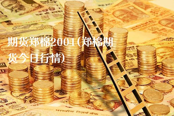 期货郑棉2001(郑棉期货今日行情)