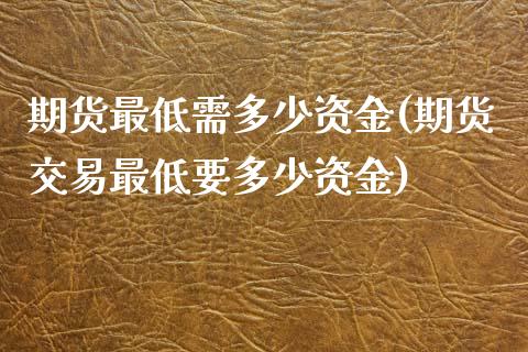 期货最低需多少资金(期货交易最低要多少资金)