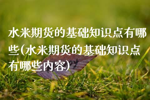 水米期货的基础知识点有哪些(水米期货的基础知识点有哪些内容)