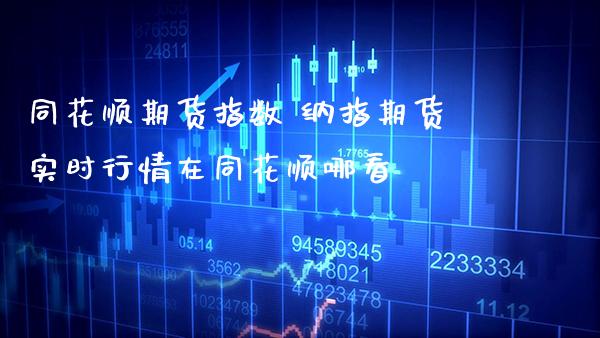 同花顺期货指数 纳指期货实时行情在同花顺哪看