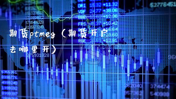 期货ptmeg（期货开户去哪里开）