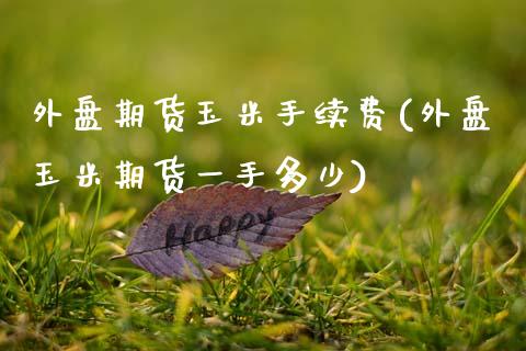 外盘期货玉米手续费(外盘玉米期货一手多少)