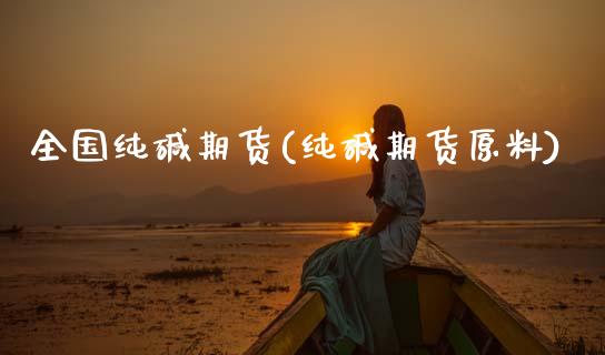 全国纯碱期货(纯碱期货原料)