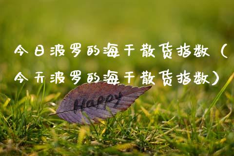 今日波罗的海干散货指数（今天波罗的海干散货指数）