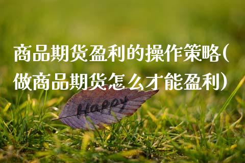 商品期货盈利的操作策略(做商品期货怎么才能盈利)_https://www.boyangwujin.com_期货直播间_第1张