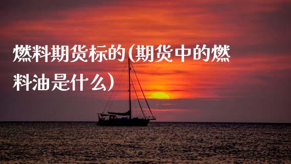 燃料期货标的(期货中的燃料油是什么)_https://www.boyangwujin.com_期货直播间_第1张