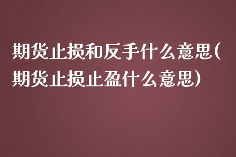 期货止损和反手什么意思(期货止损止盈什么意思)_https://www.boyangwujin.com_期货直播间_第1张