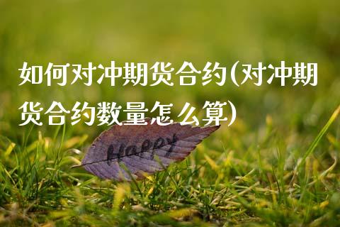 如何对冲期货合约(对冲期货合约数量怎么算)