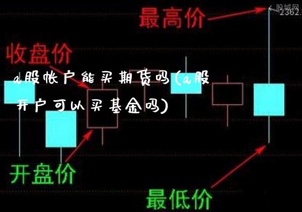 a股帐户能买期货吗(a股开户可以买基金吗)