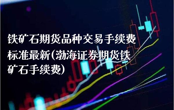铁矿石期货品种交易手续费标准最新(渤海证券期货铁矿石手续费)