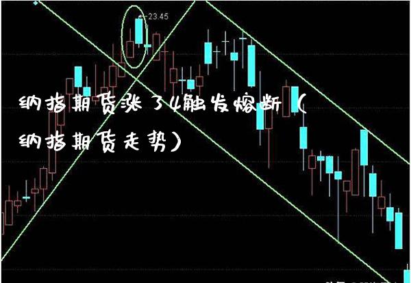 纳指期货涨了4触发熔断（纳指期货走势）_https://www.boyangwujin.com_期货直播间_第1张