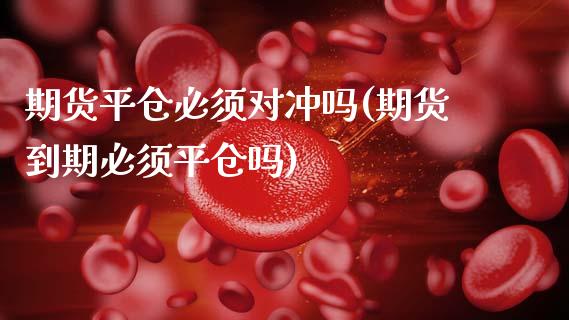 期货平仓必须对冲吗(期货到期必须平仓吗)_https://www.boyangwujin.com_白银期货_第1张