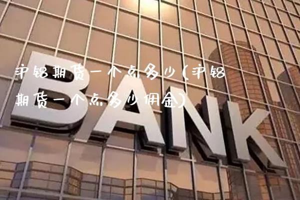 沪铝期货一个点多少(沪铝期货一个点多少佣金)